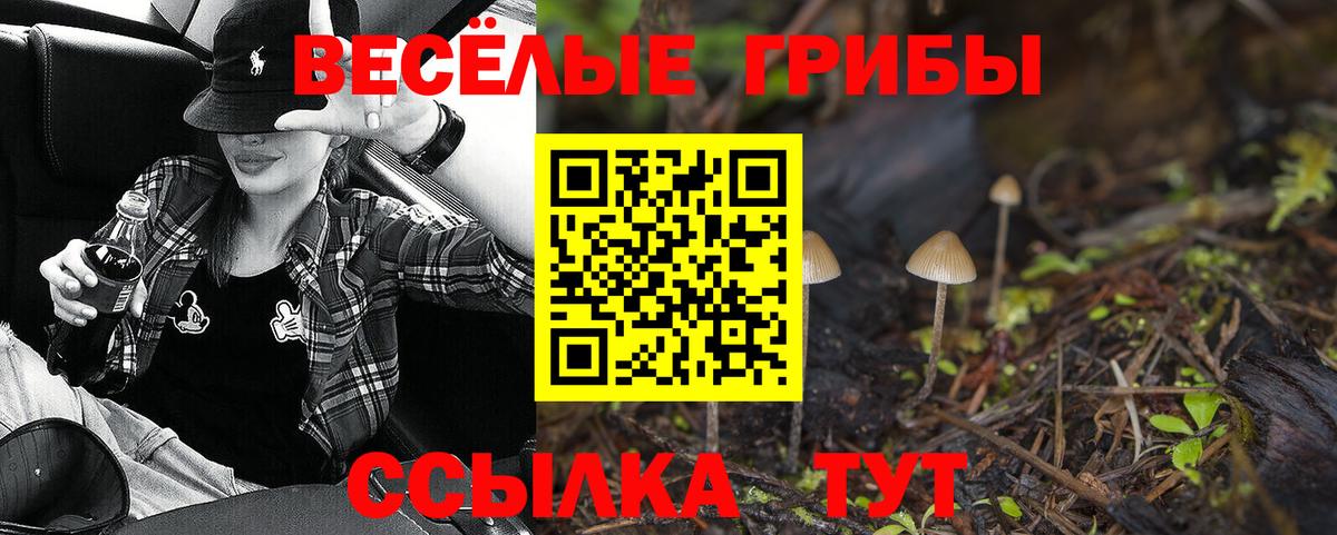 Галлюциногенные грибы прущие грибы  Вход с VPN  Гатчина  Галлюциногенные грибы прущие грибы 