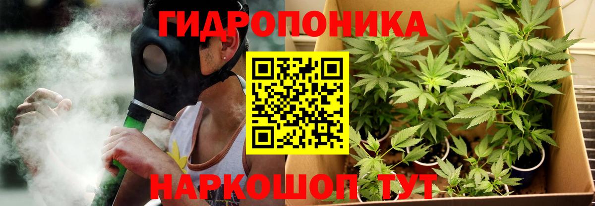 Бошки марихуана LSD WEED  Вход с VPN  Гатчина  МАРИХУАНА семена  Бошки Шишки тримм  Марихуана индика 